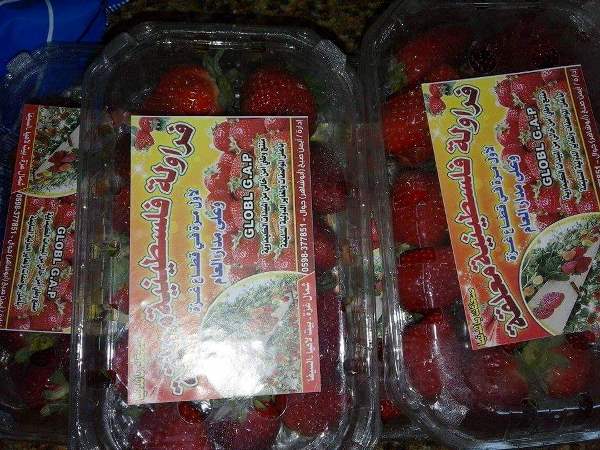 received_224124271278439