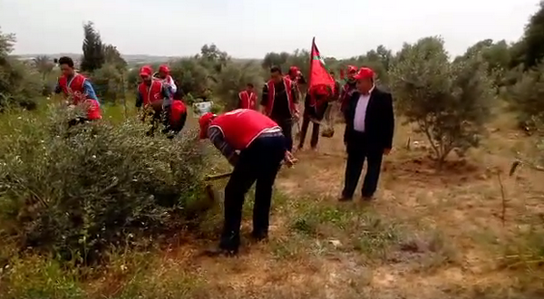 الت3قاط
