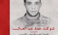 شوكت عماد عبد العال