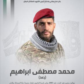 محمد مصطفى إبراهيم - رعد