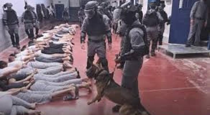 لصور المُسربة من مجدو عن تعذيب للأسرى.jpeg